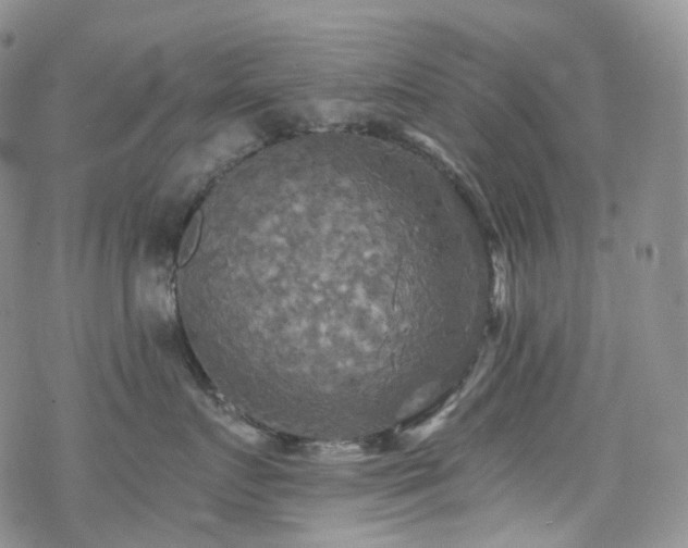 X0000070360719200606091031