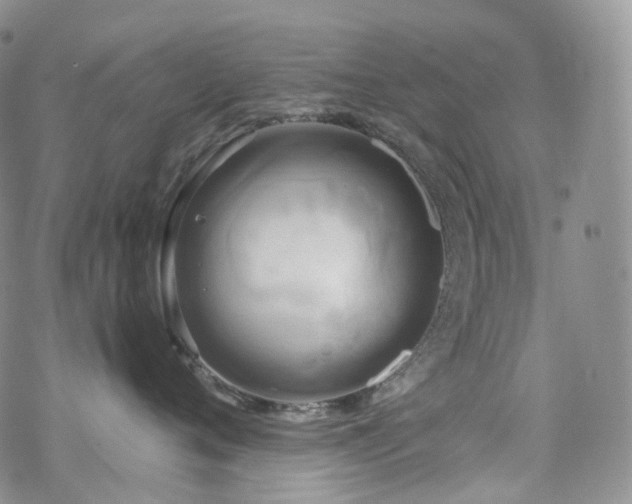 X0000070360720200606091031