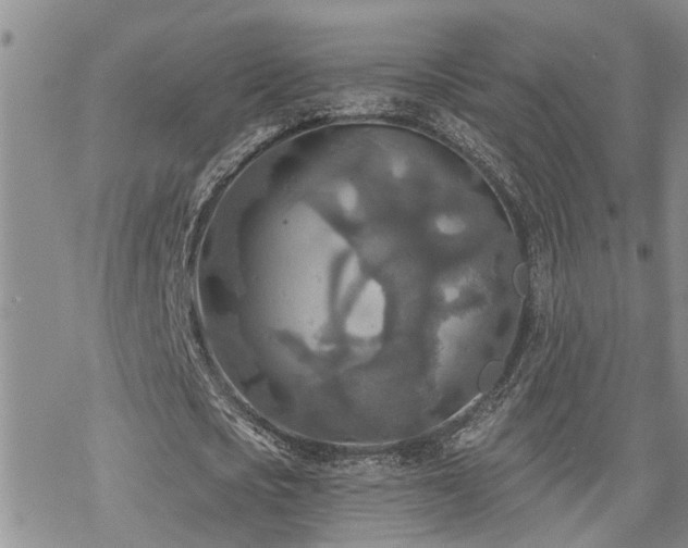 X0000070360721200606091031