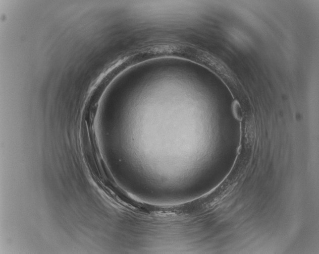 X0000070360722200606091031