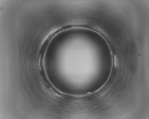 X0000070360723200606091031