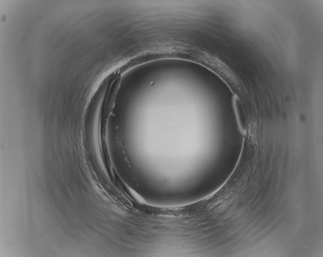 X0000070360724200606091031