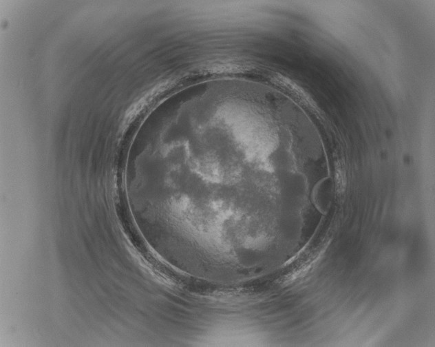 X0000070360725200606091031