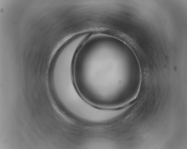 X0000070360726200606091031