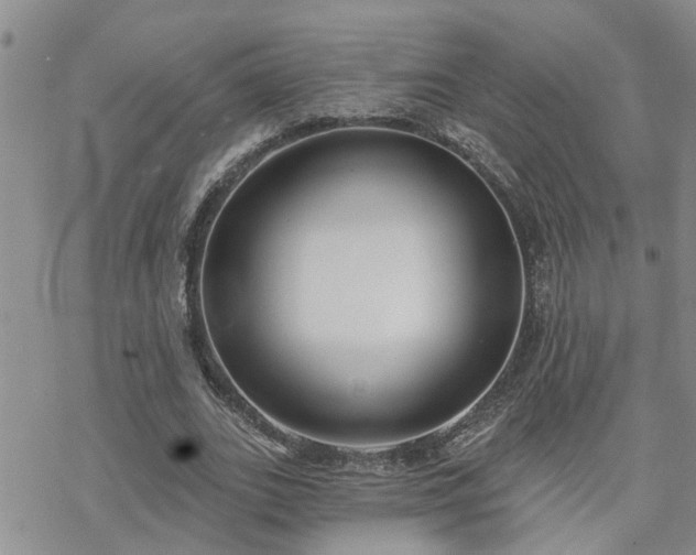 X0000070360727200606091031