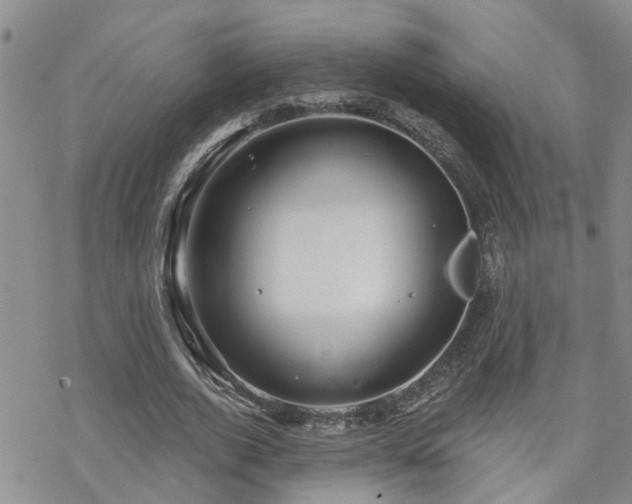 X0000070360728200606091031