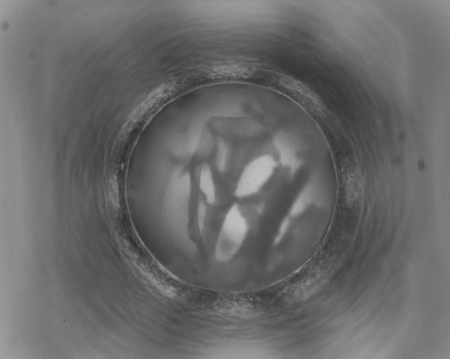 X0000070360729200606091031