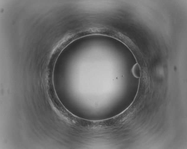 X0000070360730200606091031