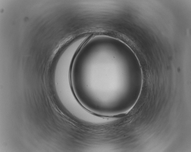 X0000070360731200606091031