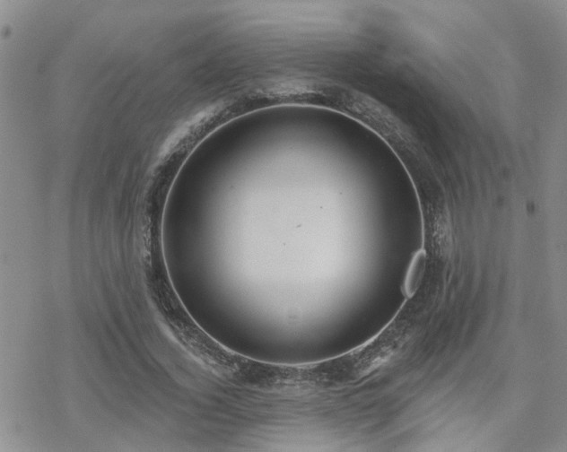 X0000070360732200606091031