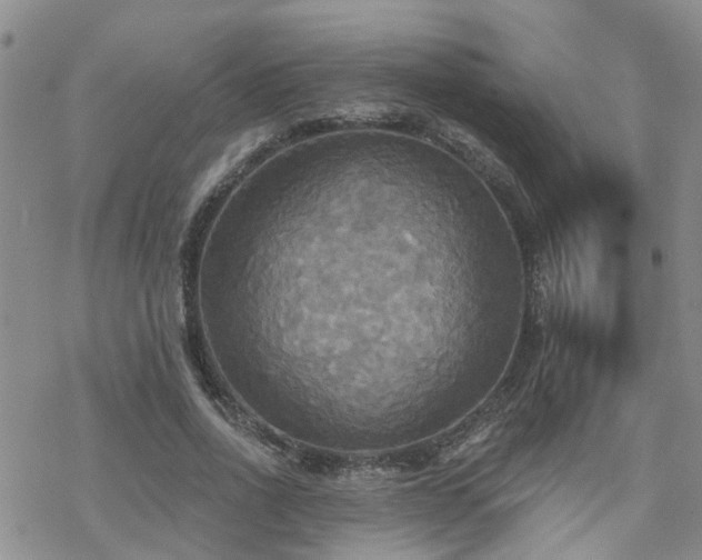 X0000070360734200606091031