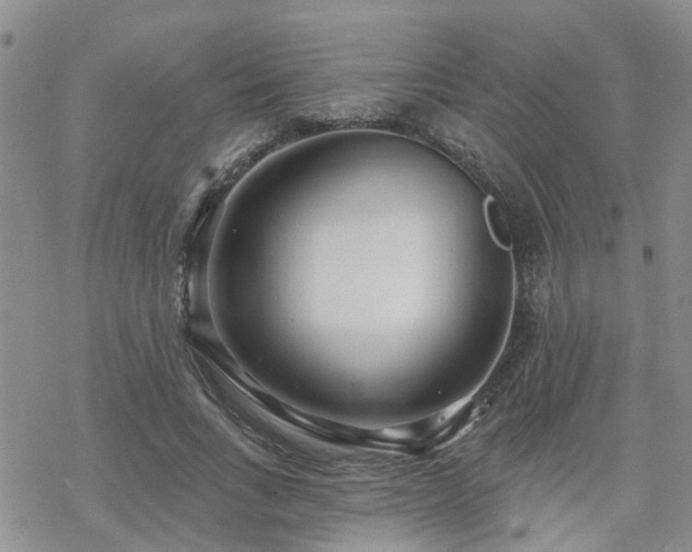 X0000070360735200606091031