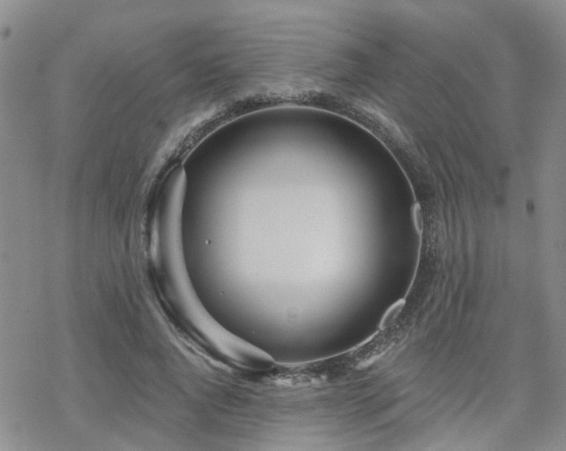 X0000070360736200606091031