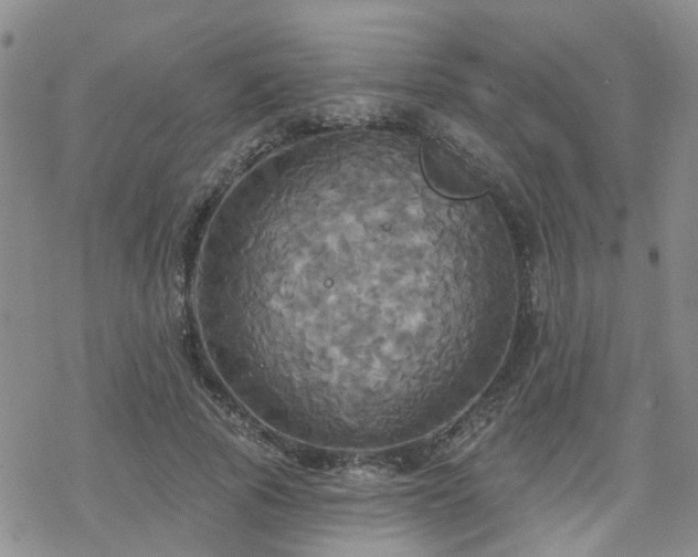 X0000070360737200606091031