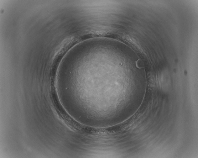 X0000070360738200606091031