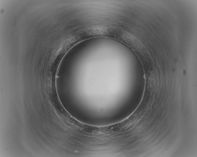 X0000070360739200606091031