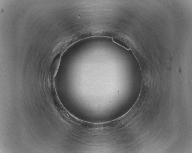 X0000070360740200606091031