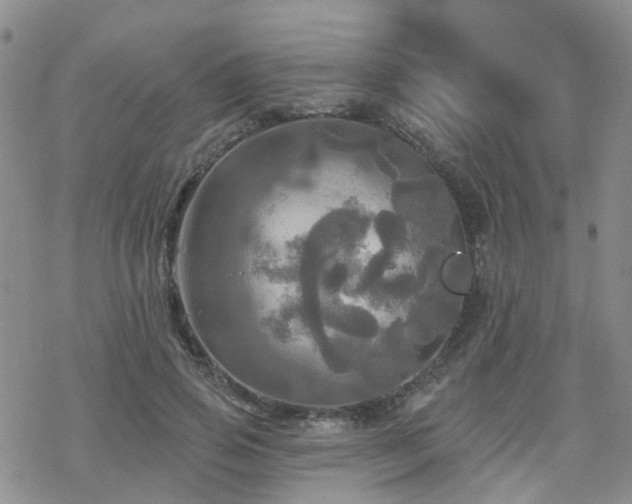 X0000070360741200606091031