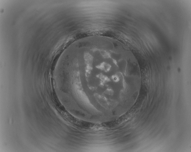 X0000070360742200606091031