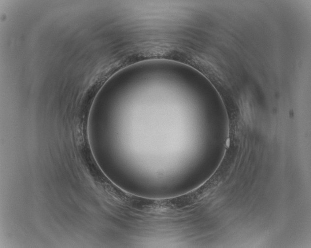 X0000070360743200606091031