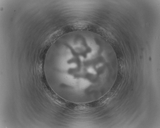 X0000070360745200606091031