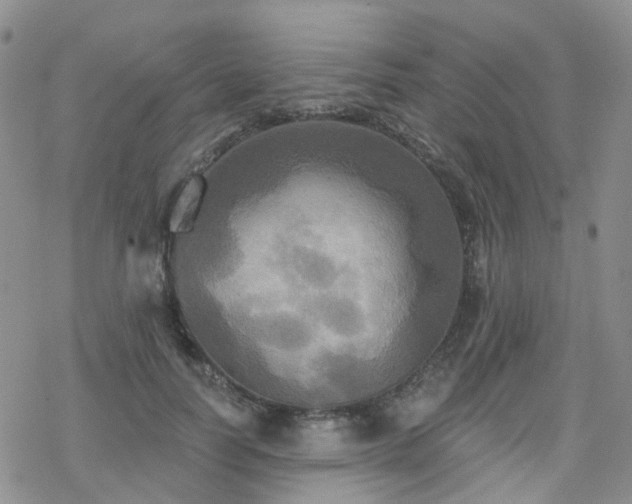 X0000070360746200606091031