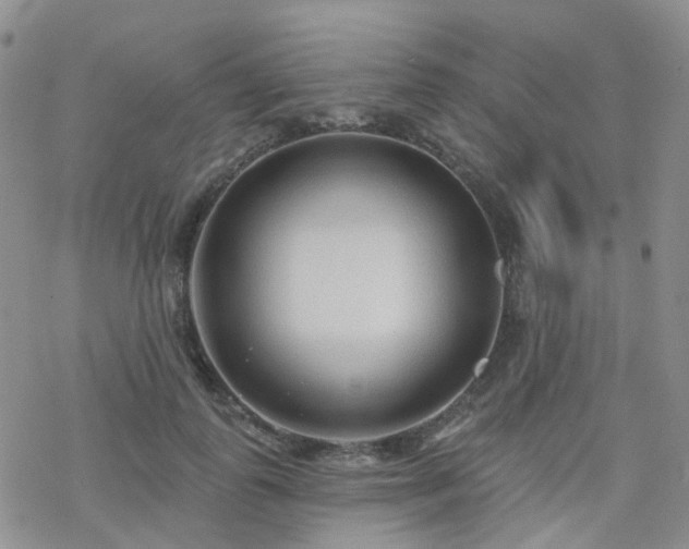 X0000070360747200606091031