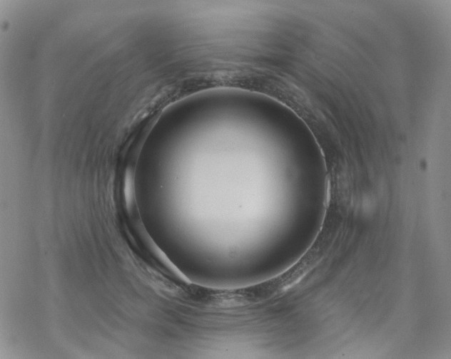 X0000070360750200606091031