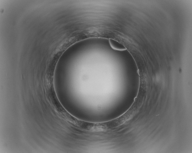 X0000070360751200606091031