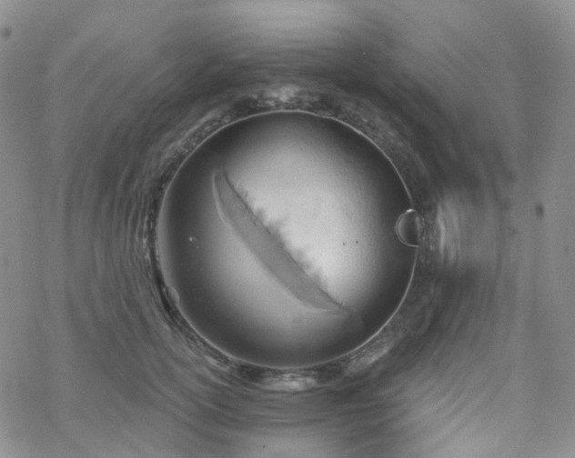 X0000070360754200606091031