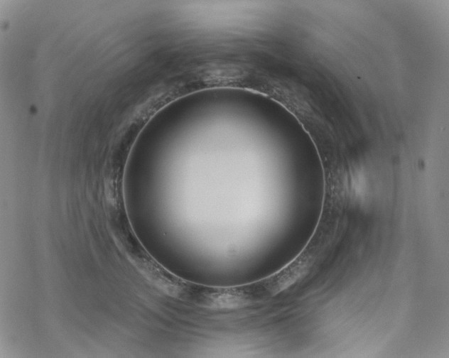 X0000070360755200606091031