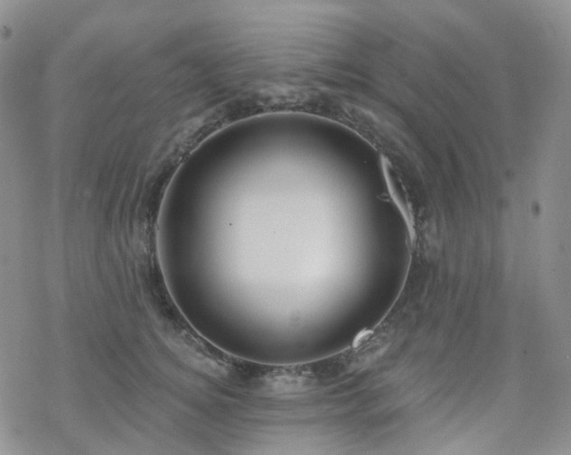 X0000070360756200606091031