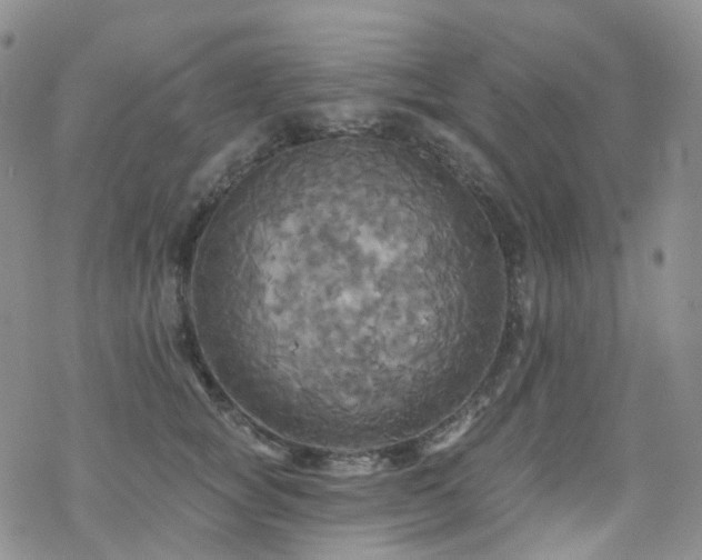 X0000070360757200606091031