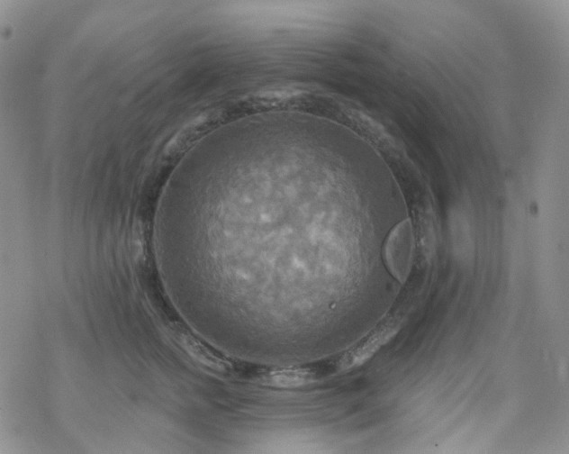 X0000070360758200606091031