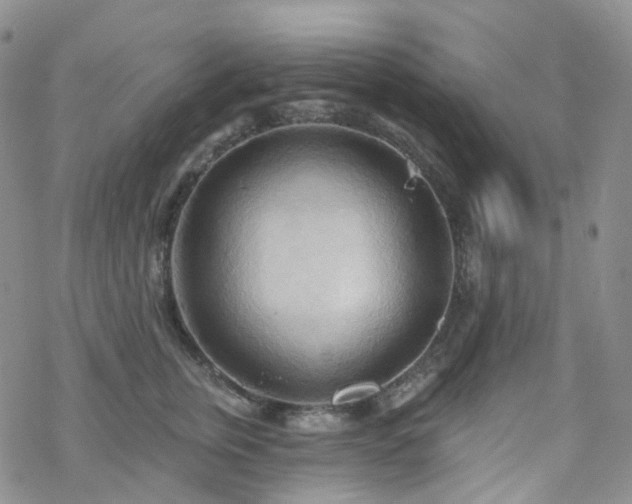 X0000070360759200606091031