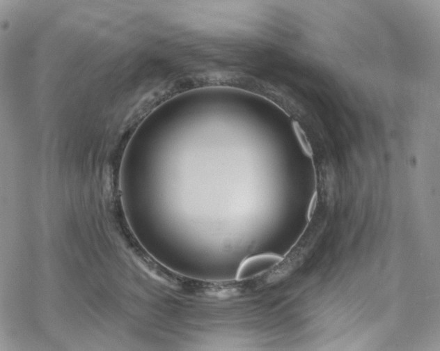 X0000070360760200606091031