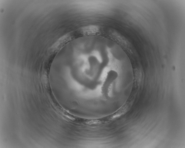 X0000070360761200606091031