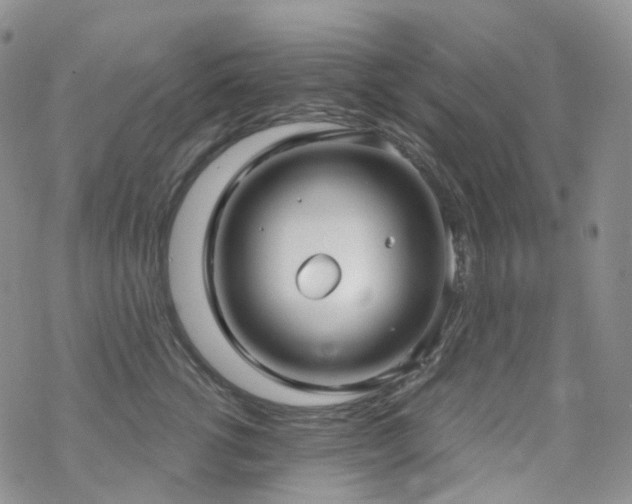 X0000070360762200606091031