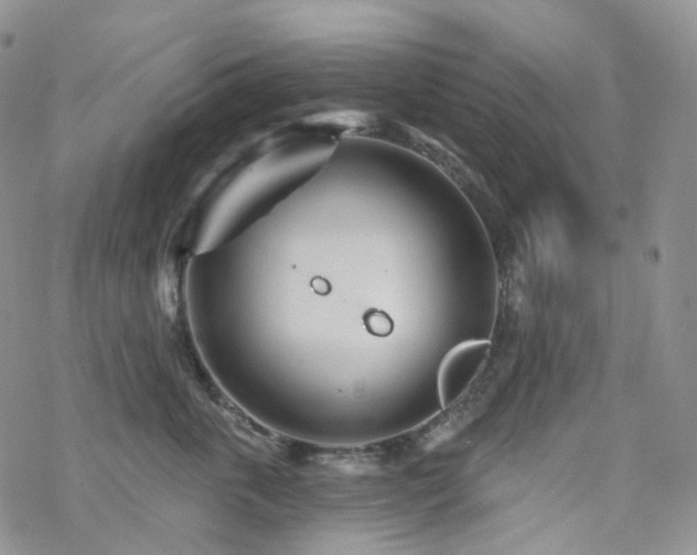 X0000070360763200606091031