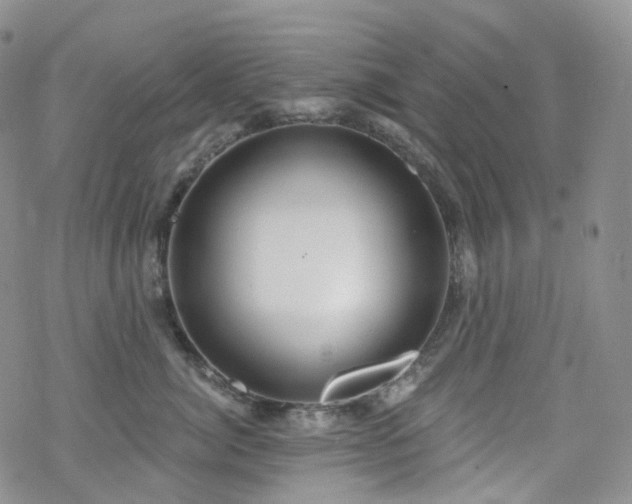 X0000070360764200606091031