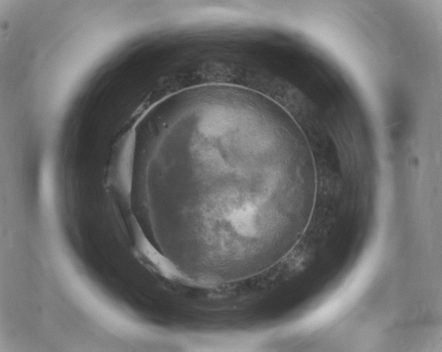 X0000070360765200606091031