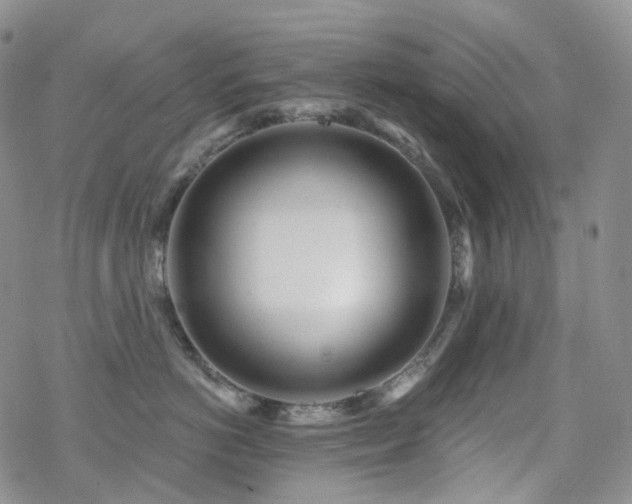 X0000070360766200606091031