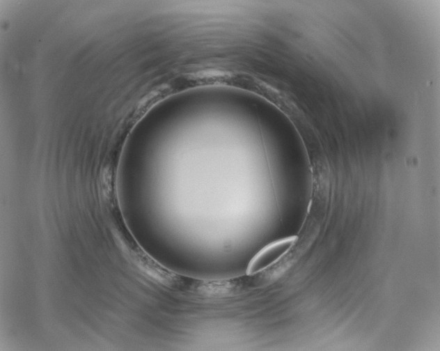 X0000070360767200606091031