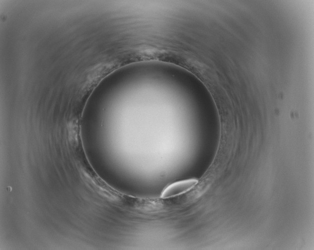 X0000070360768200606091031