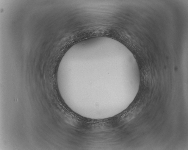 X0000070360769200606091031