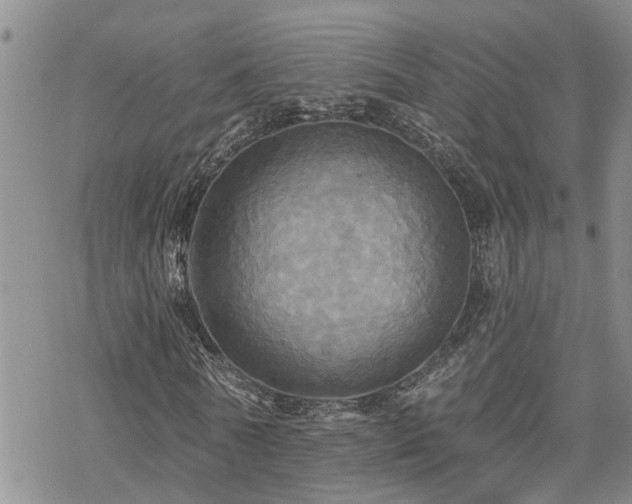 X0000070360770200606091031