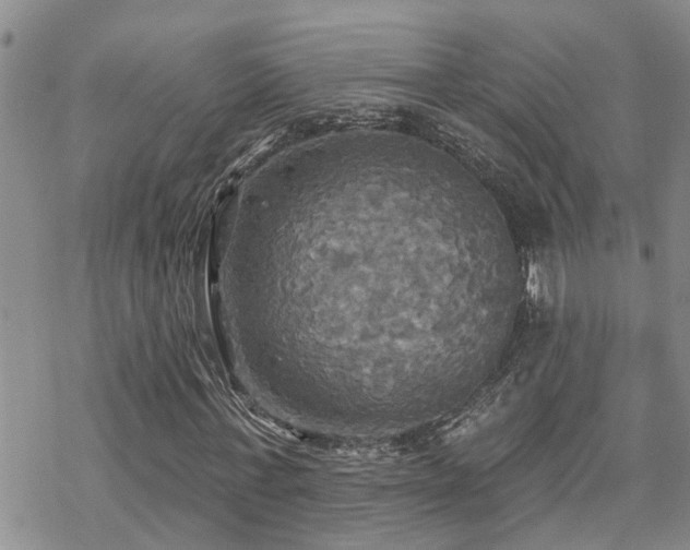 X0000070360771200606091031