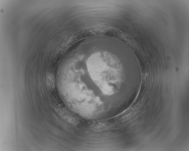 X0000070360772200606091031