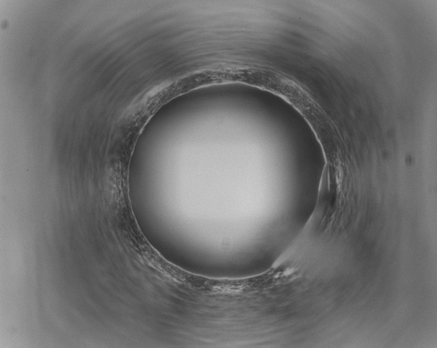 X0000070360773200606091030