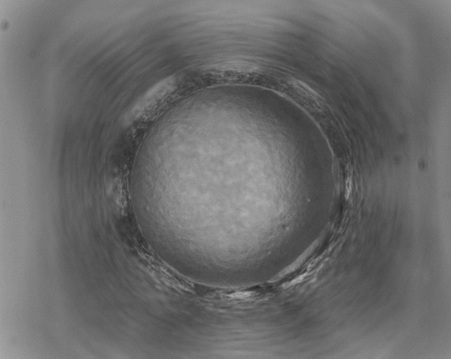 X0000070360774200606091030